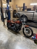 Harley Davidson Wideglide